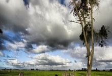 森林舞会入口:CBA常规赛:天津先行者不敌上海久事.