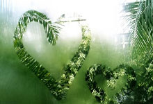 亞洲杯:伊朗1-0險勝中國香港 伊朗兩戰全勝提前晉級16強!.