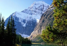 森林舞会入口：[流言板]五小阵容关键角色！芬尼-史密斯晒海报庆祝三连胜48亮106回复.