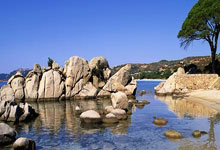 森林舞会入口:霍瓦斯對八村塁言論引發爭議稱球隊不需要明星球員.